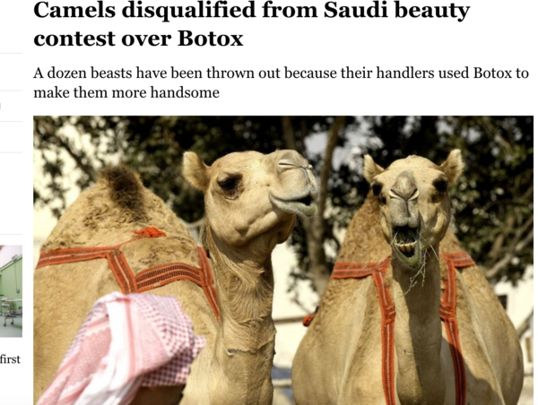 All Trump sees is green. All we see is a traitorous orange menace. Who is right? Place bets now!! (Trump continued)