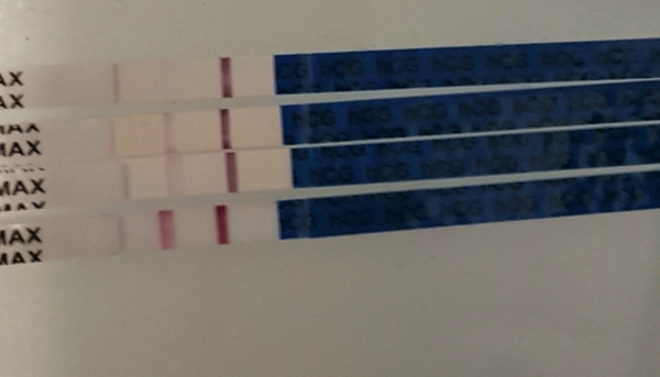 September 2018.... still trying to believe it's a BFP