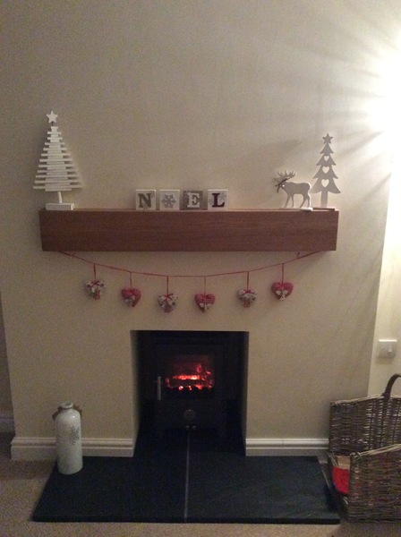 Which log burner do you have?