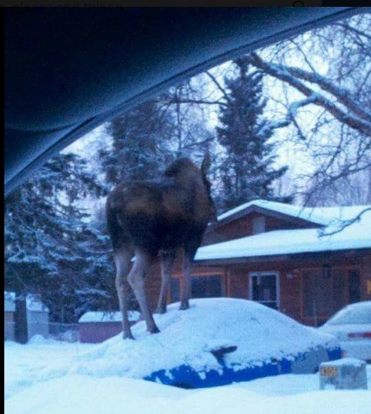 Neighbour knocked on door at 6.30am for this reason