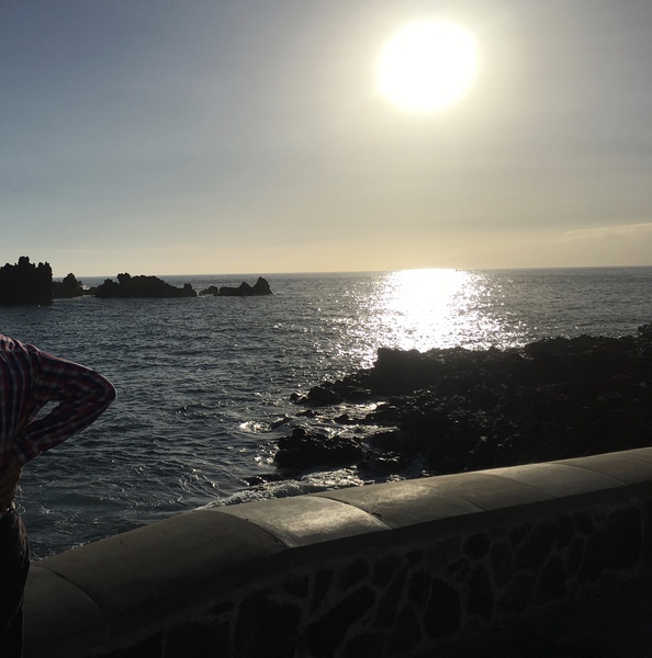 Ongoing support thread after DH died (Juan et al)