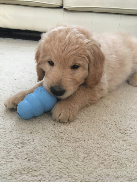 🐌 Fantastic Skincare: Happy Snail Year, Bring Spoons!