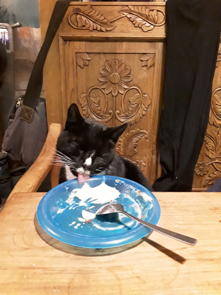 We’ve had our Merry Thriftmas, now bring on the Happy Fru Year! All welcome as we Frugaleer our way into January 2018.