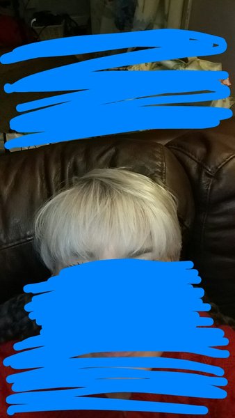 Head shave to go grey