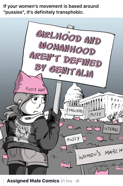 Monroe Bergdorf on the Women’s March