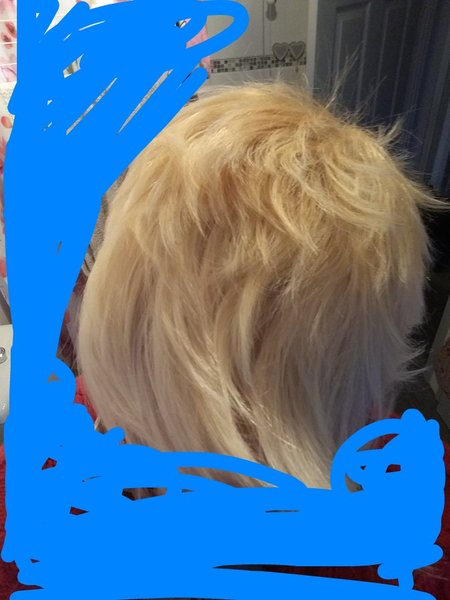 Head shave to go grey