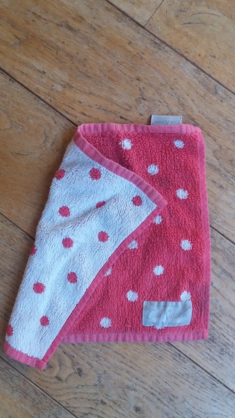 DS Desperately Seeking Cath Kidston flannel