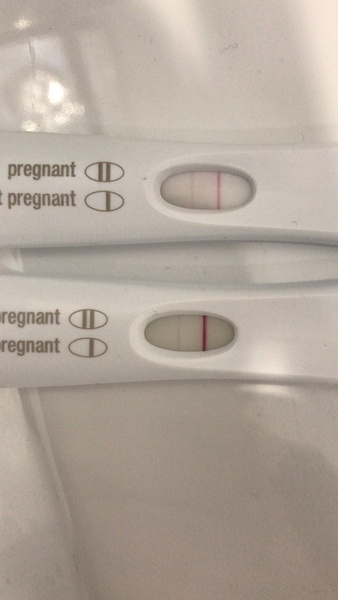 Oversaturated preggo test = false BFP??