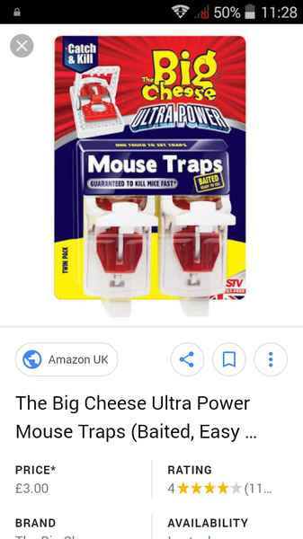 To be scared of these unwanted visitors and how to get rid of them?