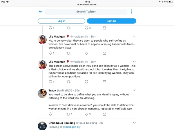 Labour party invents new bollocks made-up non-existent definition for woman