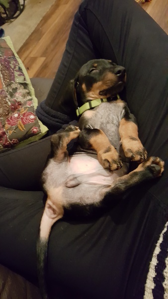 AIBU - manspreading <light hearted>