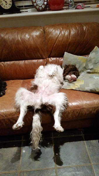 AIBU - manspreading <light hearted>