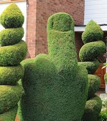 Neighbours application approved with a window overlooking our property
