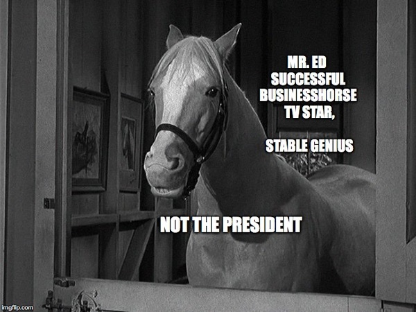 Trump 2018: Resistance is Never Futile
