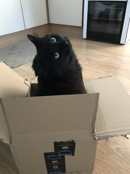Let me see your fuzzy overlords?