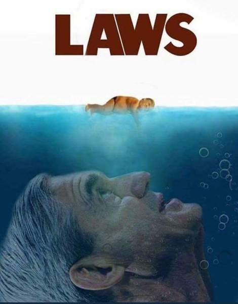 He is the very model of a Very Stable Genius: Trump cont