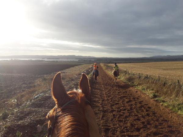 New Year, New Start Boot Camp (the one without BIWI): Preparatory thread