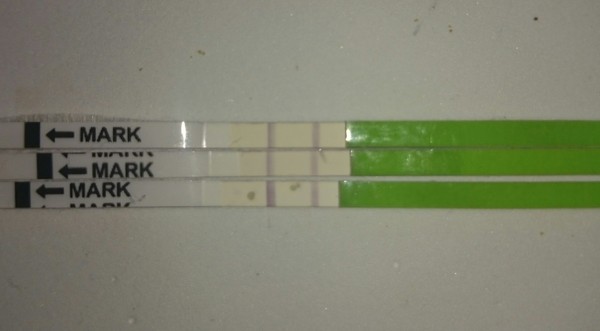 OPK progression from first positive