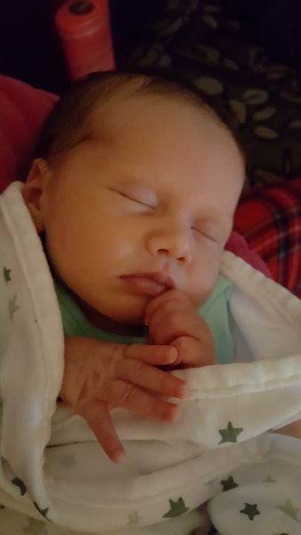 January 18 #7 The one with all the arrivals