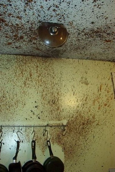AIBU to scared shitless of my pressure cooker?