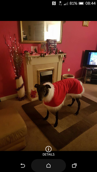What has he done to himself?!