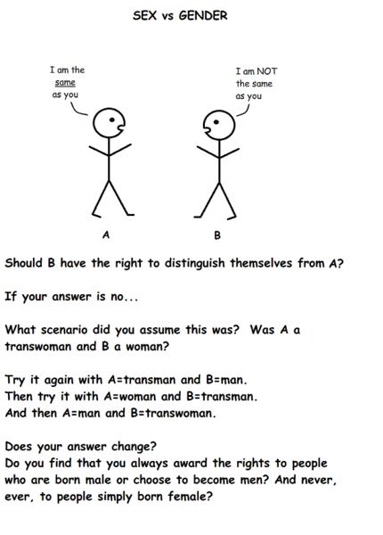 Why DO people 'believe' transwomen are women?