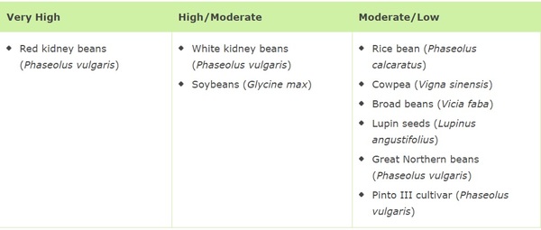 I’ve just eaten raw beans