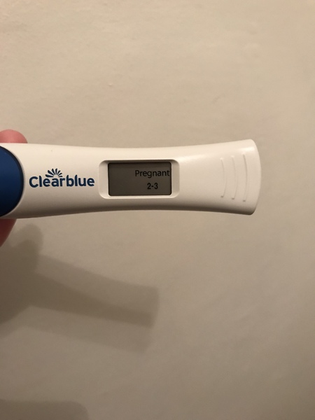 October 2018 baby bus