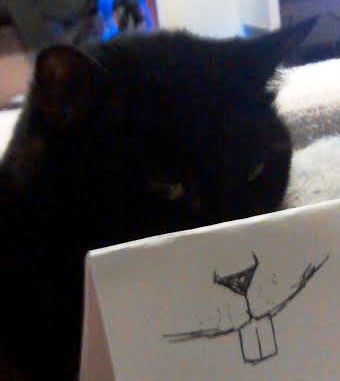 AIBU to think my cat is the cutest?