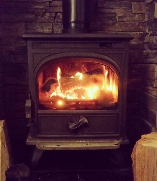 Which log burner do you have?