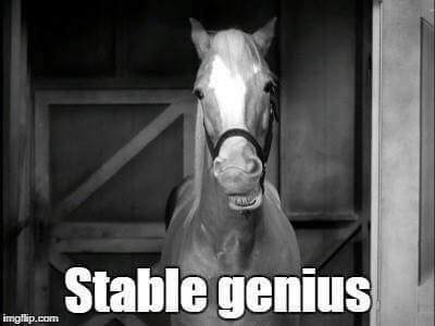 He is the very model of a Very Stable Genius: Trump cont