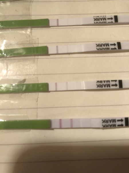 Positive OPK?