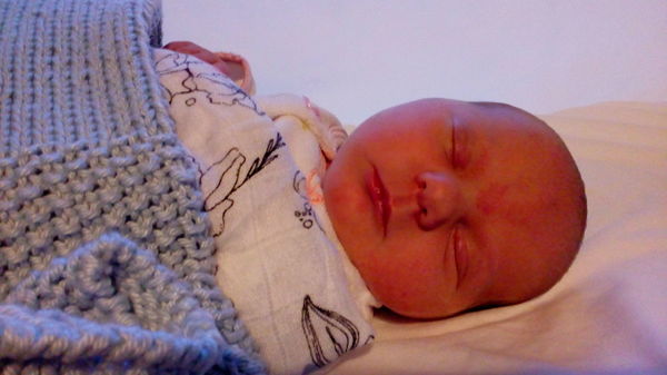 January babies #6 - waddling in to the 3rd trimester!