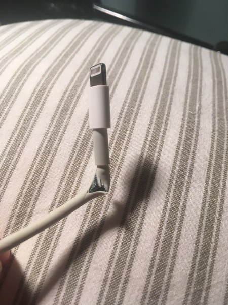 To worry that my iPhone charger is going to electrocute me?