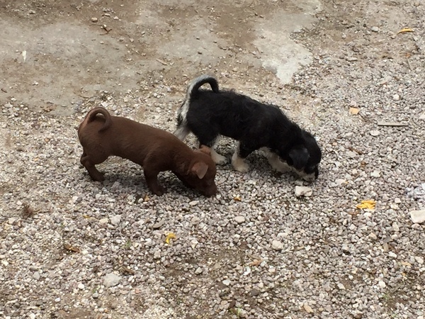 🐌 Fantastic Skincare: Happy Snail Year, Bring Spoons!