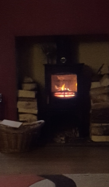 Which log burner do you have?
