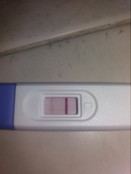 Jesus Christ someone tape my hands together - Prego Tests