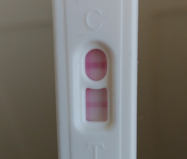 TTC after recurrent miscarriage thread 2 - we're not giving up