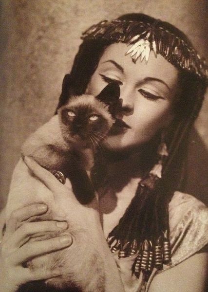 Inspirational women, kittens and puppies thread