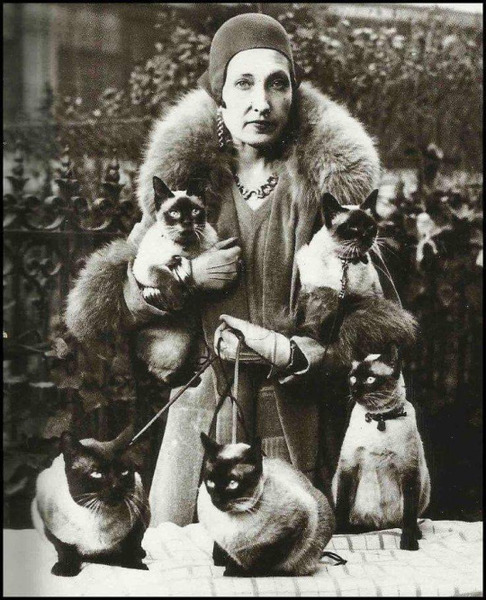 Inspirational women, kittens and puppies thread