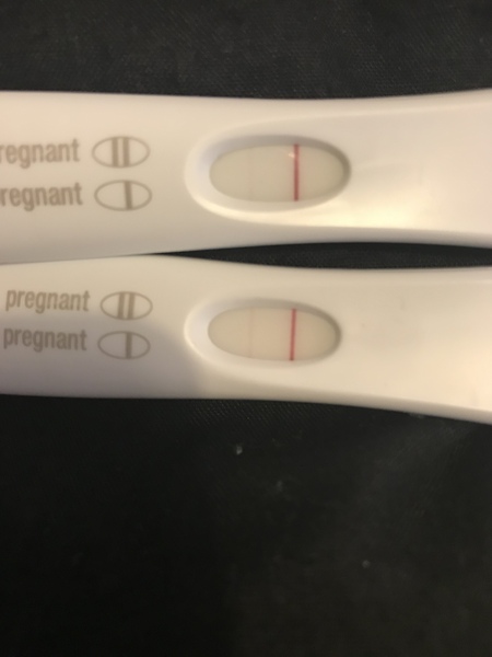 Feb Bus! Fingers crossed