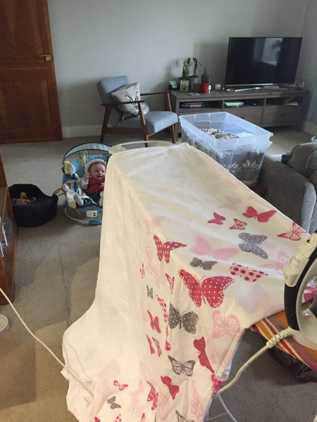 Keeping our Fru Year Resolutions! Frugal January thread two (already) - all welcome!