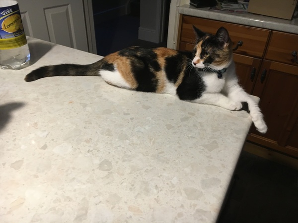 If you have a kitchen island...