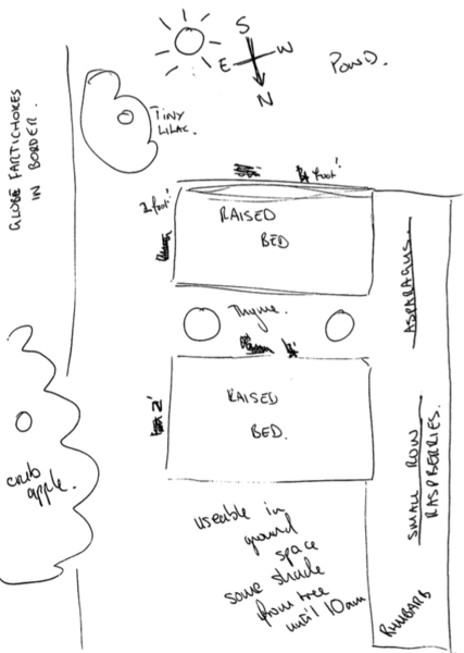 Help me vegetable plan, please!!