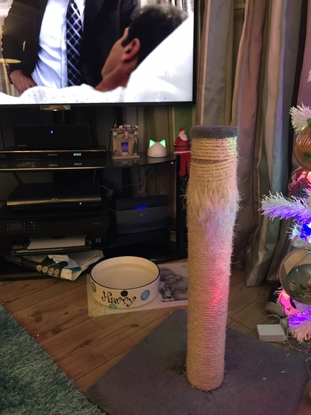 Show me your cat trees!