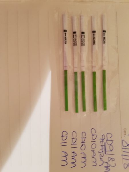 Feb Bus! Fingers crossed