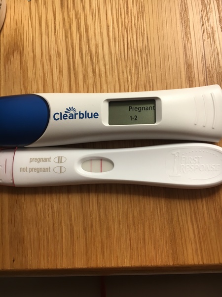 October 2018 baby bus