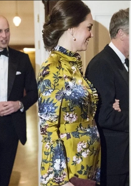 Kate's dress - Stockholm visit