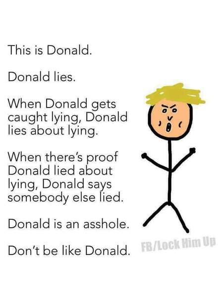 All Trump sees is green. All we see is a traitorous orange menace. Who is right? Place bets now!! (Trump continued)