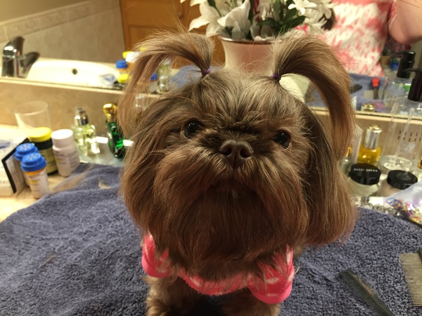 To cheer me up with photos of your pet? The first photo you have and the last?
